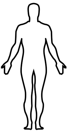 Human body diagram
